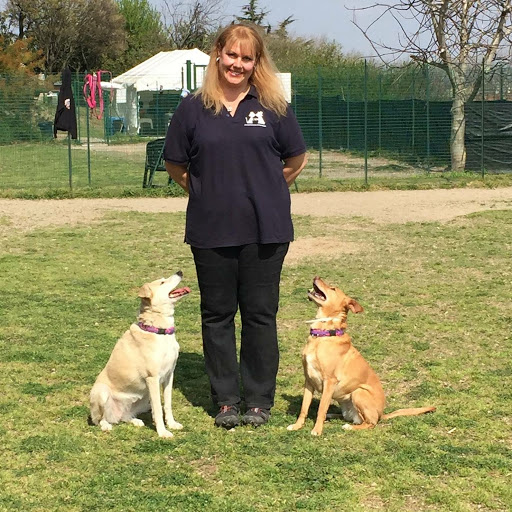 Dog Trainer Napoli Irene Magni