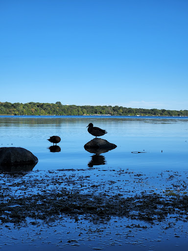 Park «French Regional Park», reviews and photos, 12605 Rockford Rd, Plymouth, MN 55441, USA
