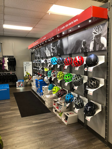 Bicycle Repair Shop «Arnold Bike Doctor», reviews and photos, 953 Ritchie Hwy, Arnold, MD 21012, USA