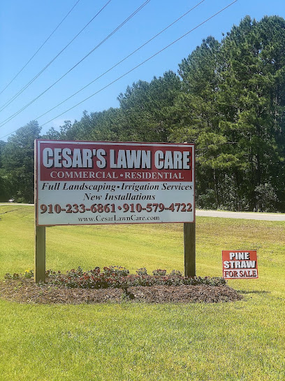 Cesar's Lawn Care