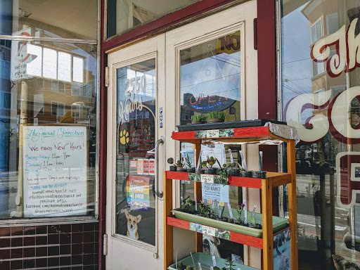 Pet Supply Store «The Animal Connection», reviews and photos, 2550 2550 Judah St & 31st Ave, San Francisco, CA 94122, USA