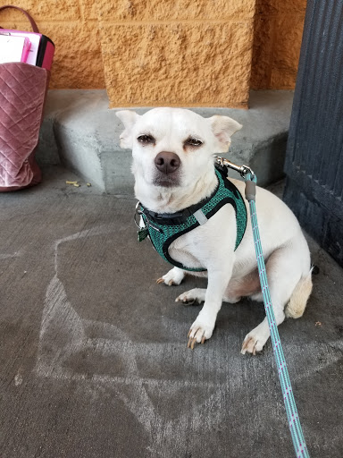 Pet Supply Store «PetSmart», reviews and photos, 2100 McHenry Ave, Modesto, CA 95350, USA