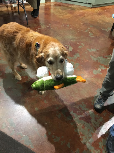 Pet Supply Store «Green Dog Pet Supply», reviews and photos, 4327 NE Fremont St, Portland, OR 97213, USA