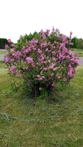 Casino «Bad River Lodge & Casino», reviews and photos, 73370 US-2, Ashland, WI 54806, USA