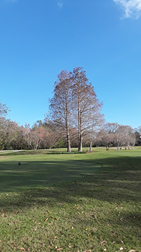 Golf Club «Cypress Run Golf Club», reviews and photos, 2669 St Andrews Blvd, Tarpon Springs, FL 34688, USA