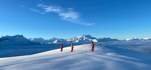 Swiss Ski Instructor