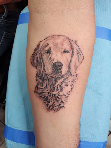 Tattoo Shop «Area 51 Tattoo», reviews and photos, 60 N Williams St, Crystal Lake, IL 60014, USA