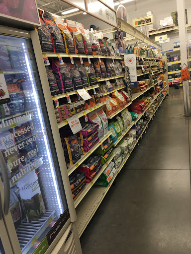 Pet Supply Store «PetSmart», reviews and photos, 13764 W Bell Rd, Surprise, AZ 85374, USA
