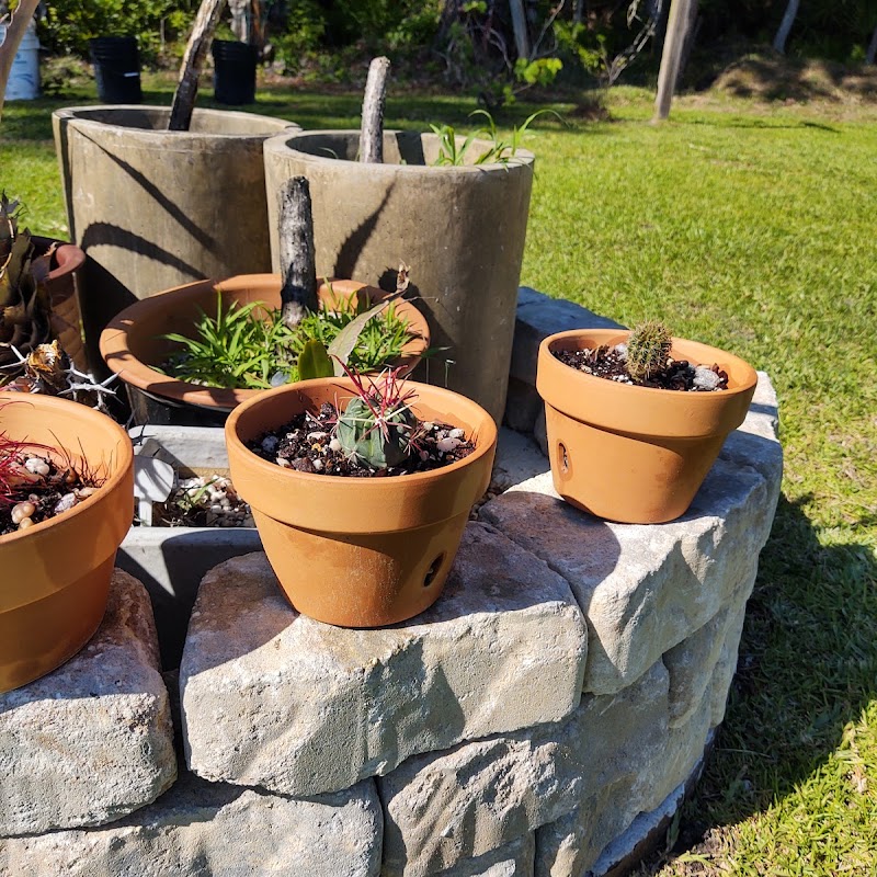 Lowe's Garden Center