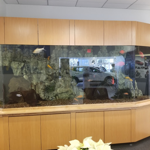 Nissan Dealer «Eden Prairie Nissan», reviews and photos, 12790 Plaza Dr, Eden Prairie, MN 55344, USA