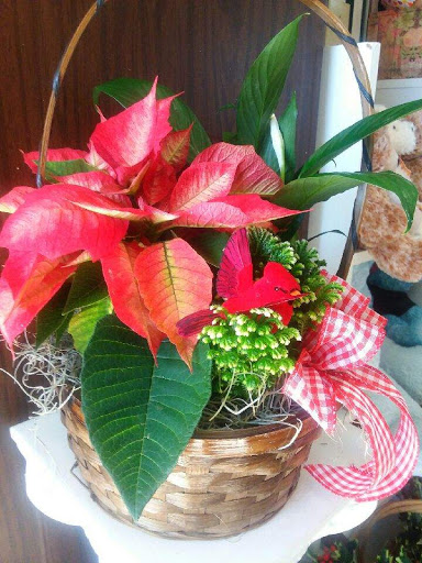 Florist «A Daisy A Day», reviews and photos, 749 Silas Creek Pkwy, Winston-Salem, NC 27127, USA