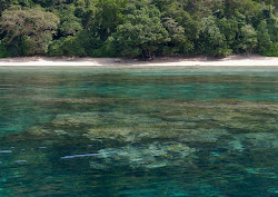 Foto von Ko Pachumba Beach mit geräumige küstenlinie