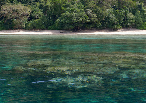 Ko Pachumba Beach photo #2