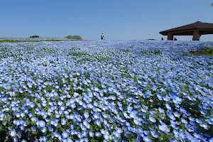 Flower Museum (Uminokamichi Seaside Park) image
