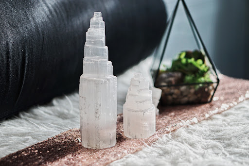 Book Store «Mimosa Books & Gifts», reviews and photos, 260 W Gilman St, Madison, WI 53703, USA