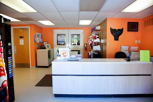 Gymnastics Center «Jersey Shore Gymnastics Academy», reviews and photos, 5101 Oakwood Blvd, Mays Landing, NJ 08330, USA