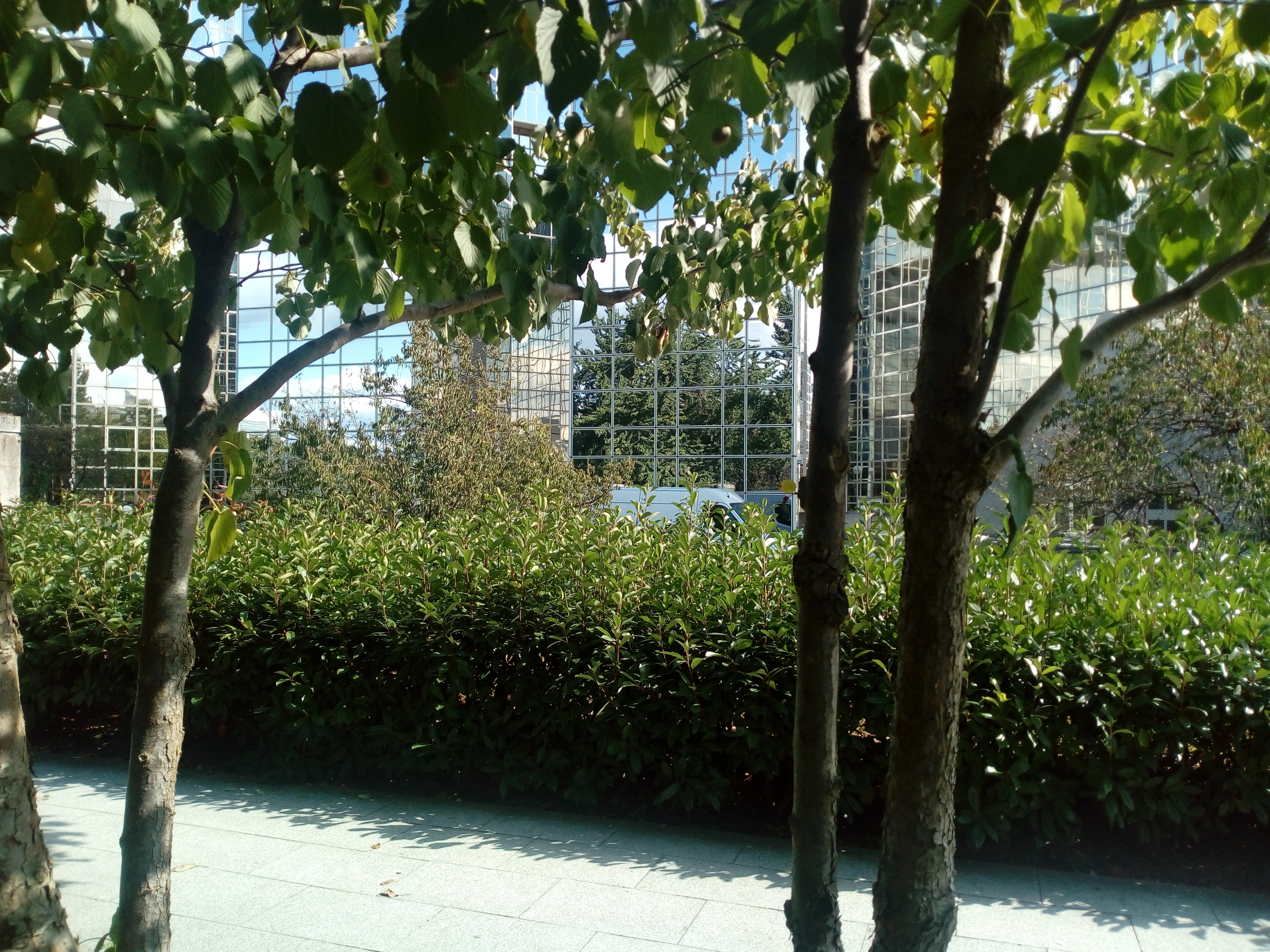 Photo n° 5 de l'avis de Pascal.a fait le 01/09/2019 à 17:37