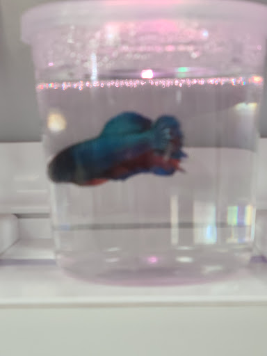 Pet Supply Store «Incredible Pets», reviews and photos, 649 Sutton Way, Grass Valley, CA 95945, USA