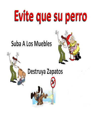 Perros Veracruz S.A.