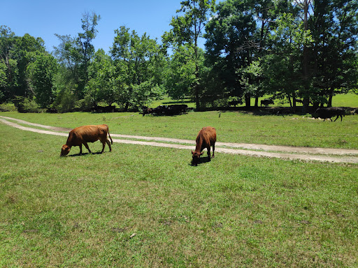 Farm «Warbington Farms (U-Pick Strawberries)», reviews and photos, 5555 Crow Rd, Cumming, GA 30041, USA