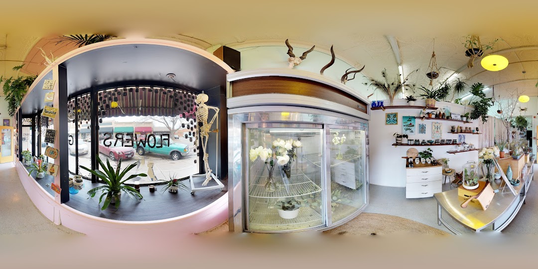 Annalise the Amaranth