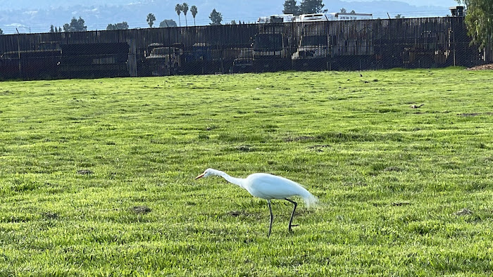 Park near San Jose Marriott