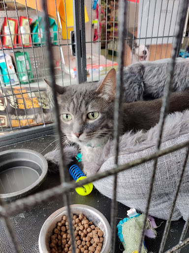 Pet Supply Store «Pet Supplies Plus», reviews and photos, 2033 28th St SW, Wyoming, MI 49519, USA