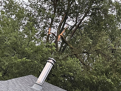 BT Lawn & Tree Service