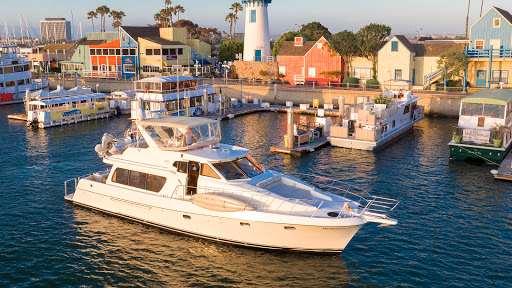 Whale watching tour agency Burbank