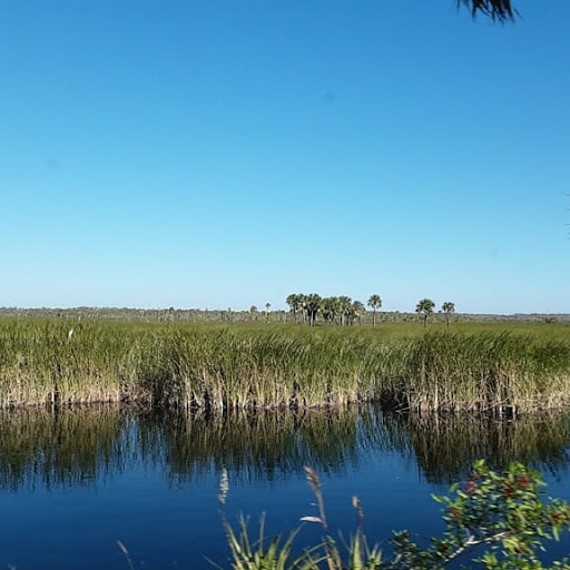 Visitor Center «Big Cypress Swamp Welcome Center», reviews and photos