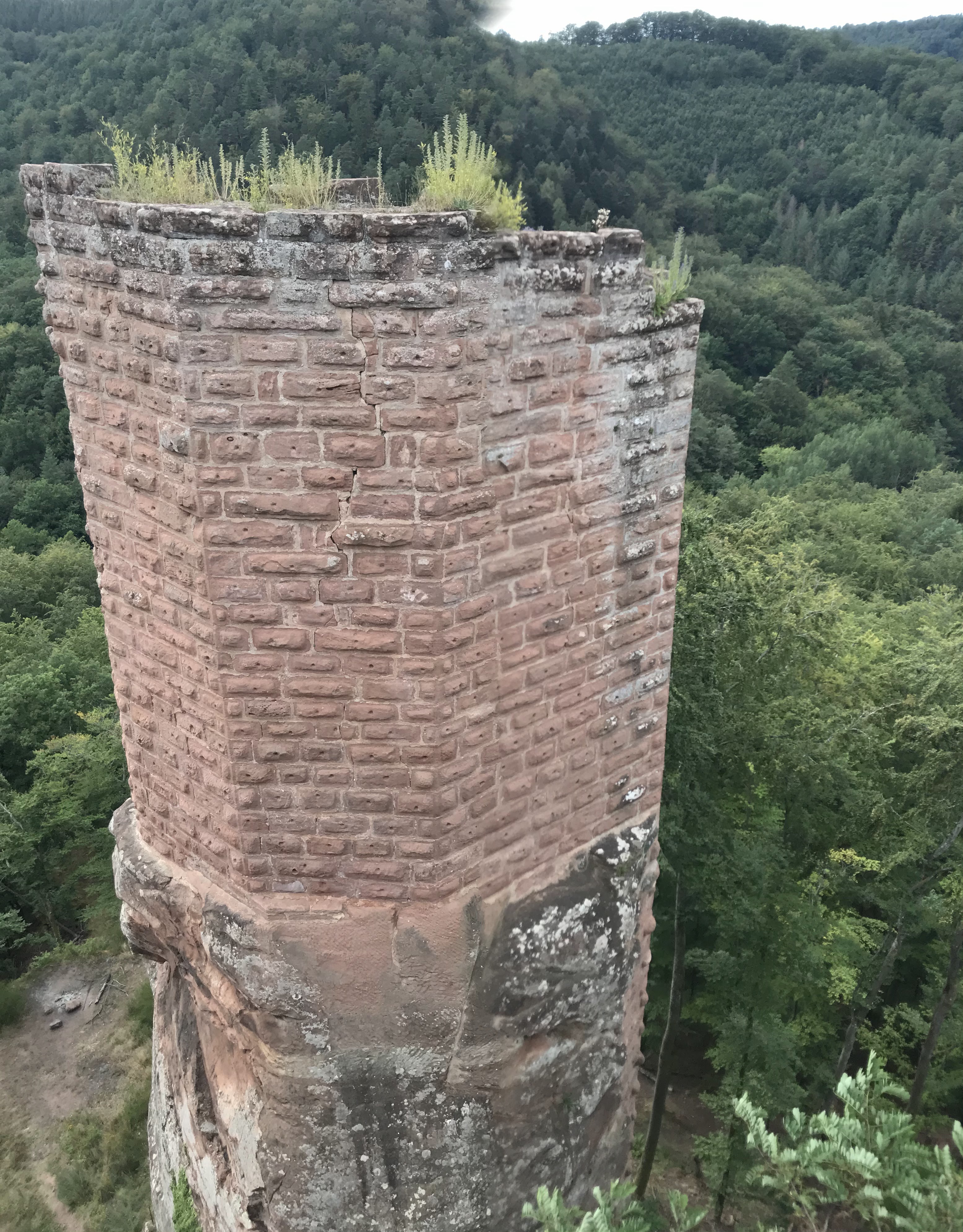 Photo n° 1 de l'avis de Philippe.o fait le 20/07/2020 à 11:01