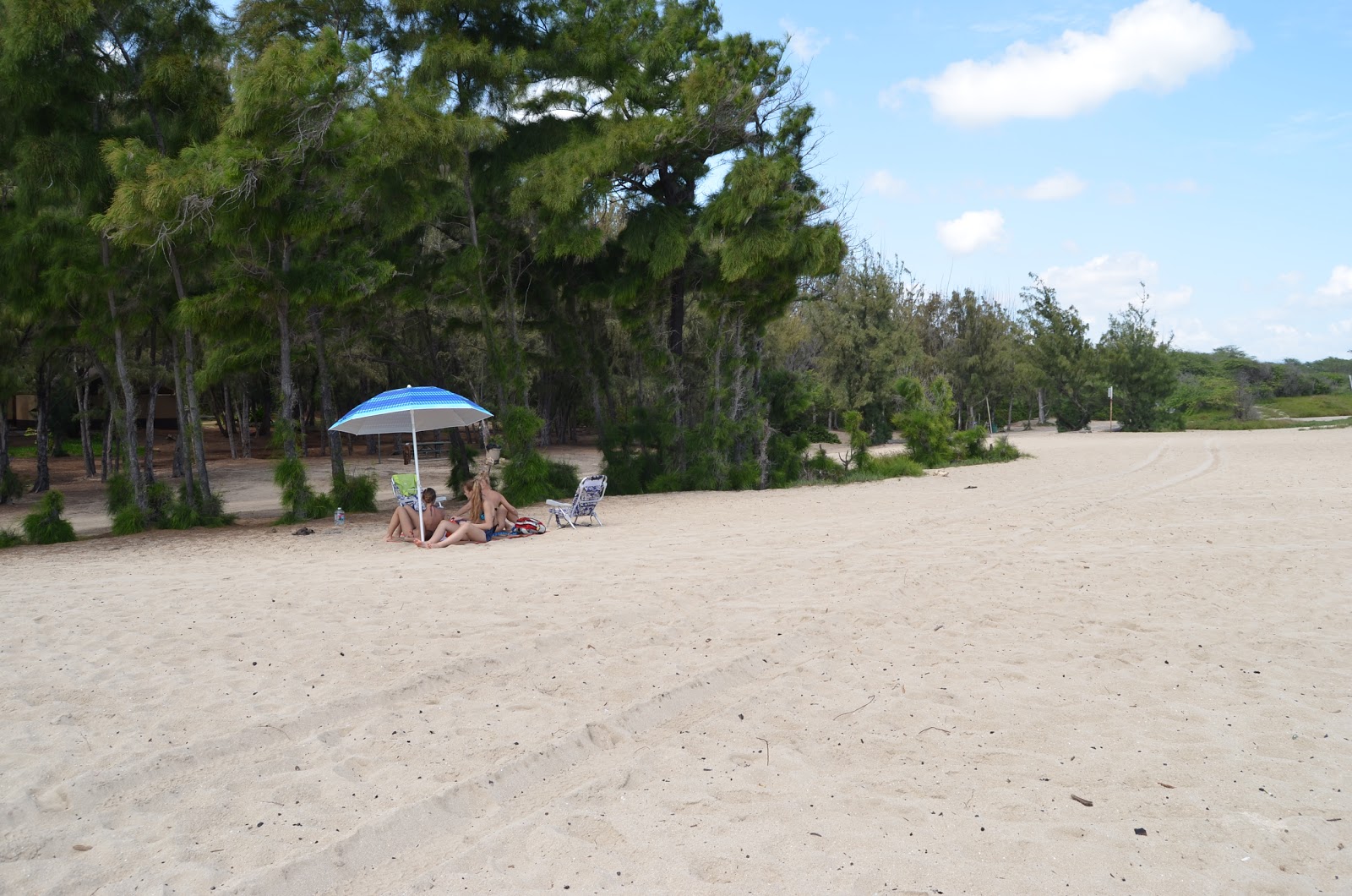Foto van Eisenhower Beach - goede huisdiervriendelijke plek voor vakantie