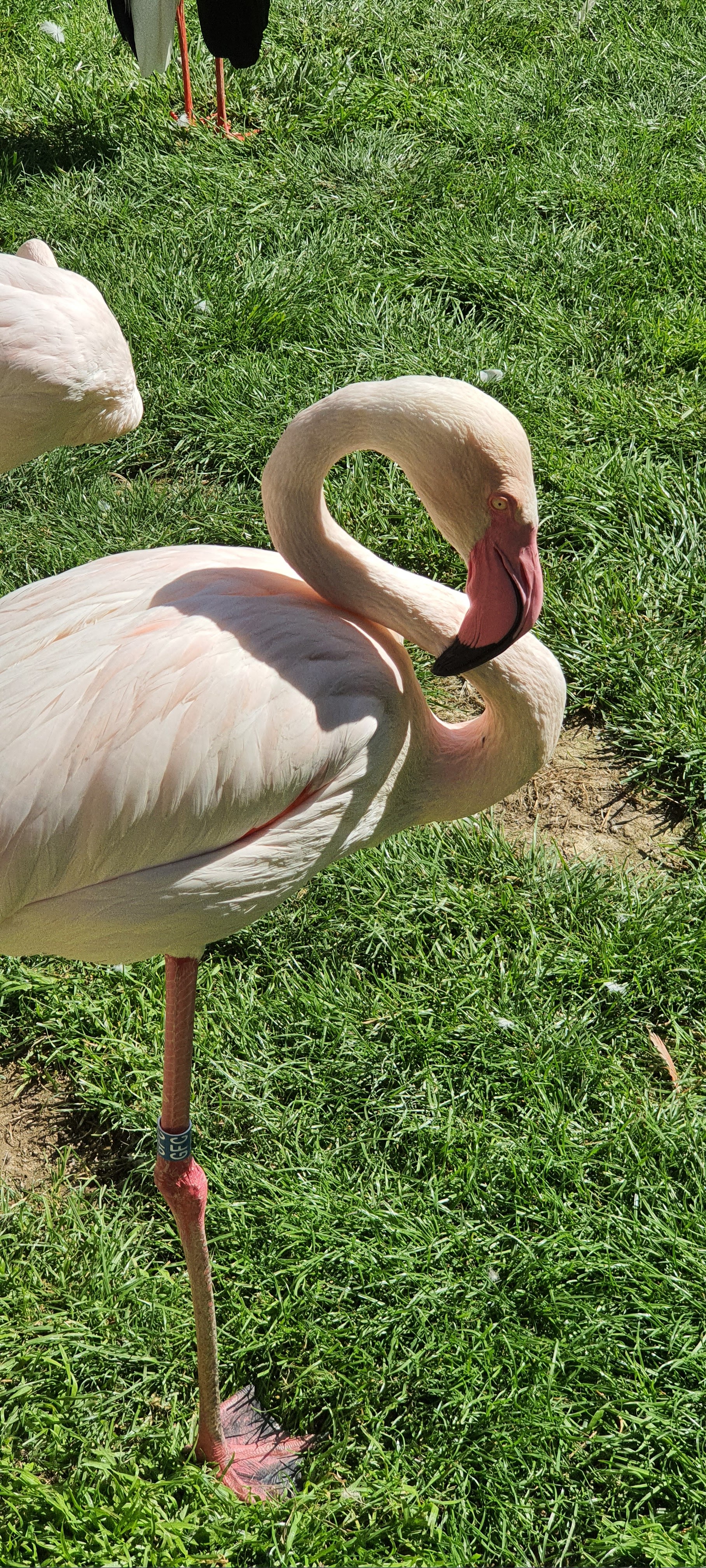 Photo n° 5 de l'avis de Laetitia. fait le 06/05/2023 à 18:10