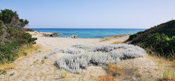 Foto von Quarto di Monte Beach mit etwas sauber Sauberkeitsgrad