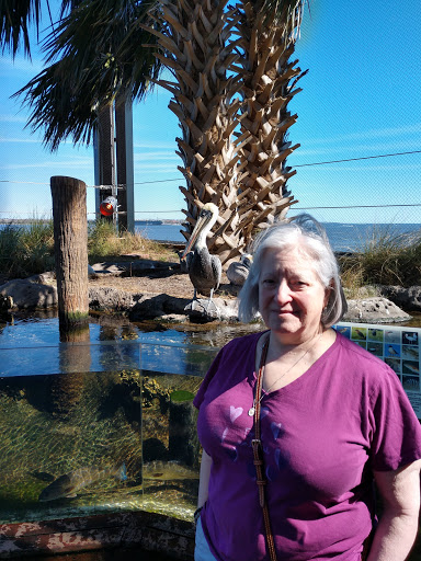 Parking Garage «SC Aquarium Garage», reviews and photos, 24 Calhoun St, Charleston, SC 29401, USA