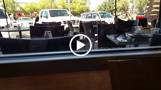 Restaurant «Wildflower Bread Company», reviews and photos, 3425 E Baseline Rd #101, Gilbert, AZ 85234, USA