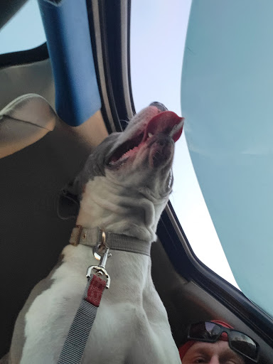 Pet Supply Store «PetSmart», reviews and photos, 865 Colusa Ave, Yuba City, CA 95991, USA