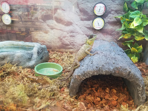 Pet Supply Store «Petco Animal Supplies», reviews and photos, 195 E 12300 S, Draper, UT 84020, USA