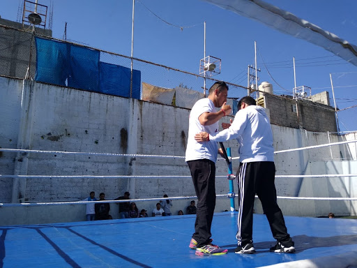 Escuela de boxeo Team Ugalde