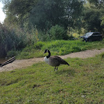 Photo n°3 de l'avis de C... fait le 24/09/2021 à 14:06 sur le  Gaststätte Bootshaus à Lauenburg