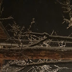 Photo n°2 de l'avis de Gabriele.n fait le 03/01/2024 à 13:41 sur le  Gasthaus Bad Siess à Ritten