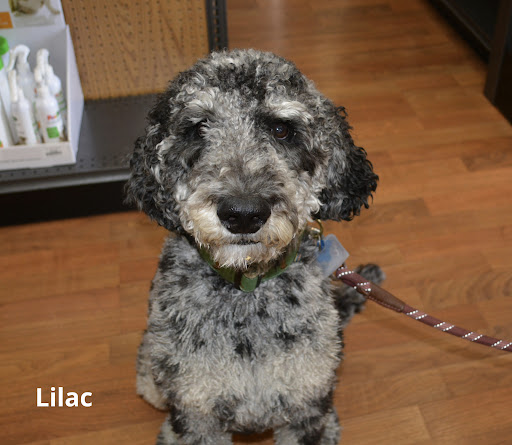 Pet Supply Store «The Natural Pet Enrichment Center», reviews and photos, 6720 Royalton Rd, North Royalton, OH 44133, USA