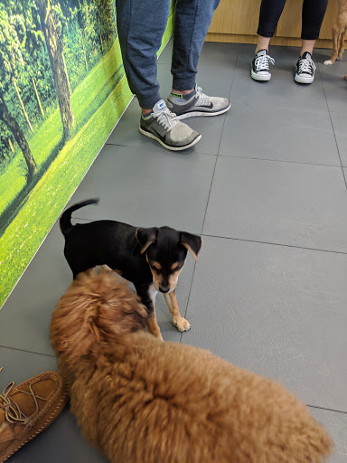 Pet Supply Store «Petco Animal Supplies», reviews and photos, 2910 Wilshire Blvd, Santa Monica, CA 90403, USA