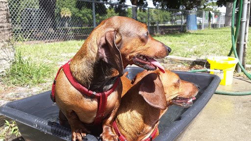 Dog Park «West Park», reviews and photos, 5812 N Occident St, Tampa, FL 33614, USA