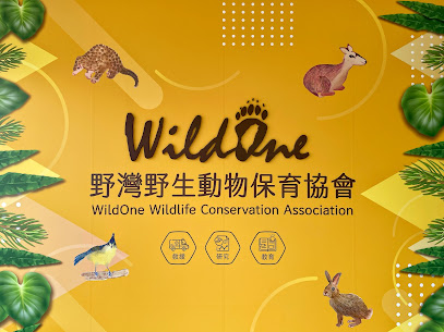 WildOne野灣-野生動物救傷教育迴廊