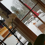 Photo n°1 de l'avis de Marcelo.a fait le 03/01/2019 à 15:01 sur le  Alpenhotel Dora à Ofterschwang