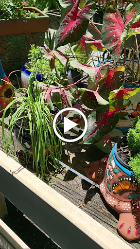 Produce Market «Nelson Family Farms», reviews and photos, 875 W Midway Rd, Fort Pierce, FL 34982, USA