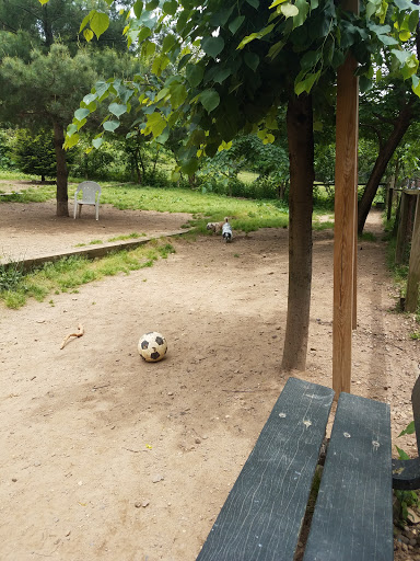 Dog Park «Forest Park Dog Run», reviews and photos, 8445 Park Ln S, Woodhaven, NY 11421, USA