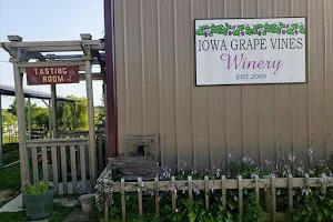 Iowa Grape Vines Winery image