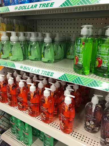 Dollar Store «Dollar Tree», reviews and photos, 6205 Coit Rd #200, Plano, TX 75024, USA